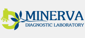 https://apg.ae/wp-content/uploads/2018/12/minerva.jpg